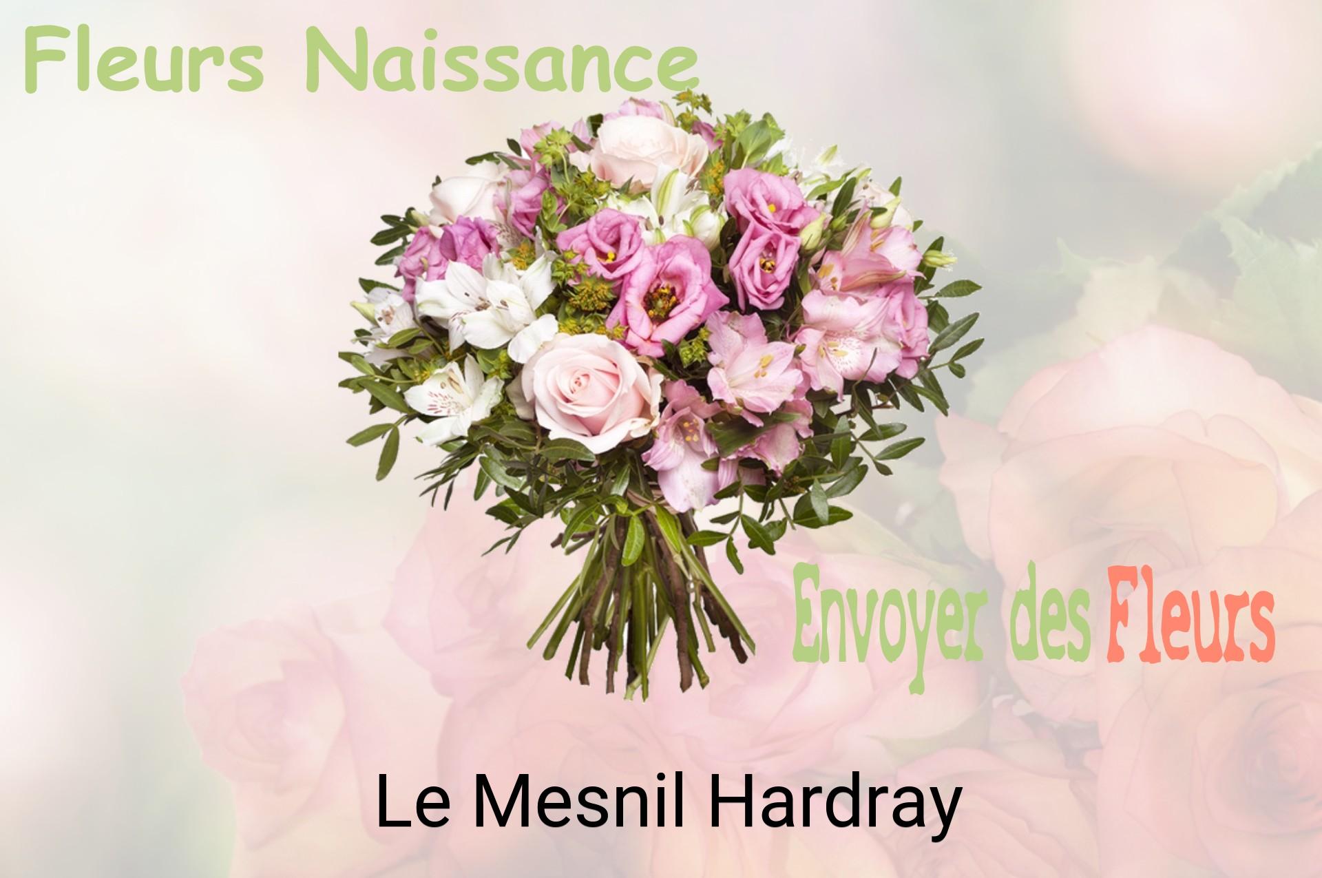 Bouquet de fleurs de naissance livré à Le Mesnil-Hardray